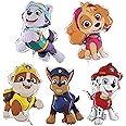 Paw Patrol Foil & Latex Helium Balloons For 3rd Birthday Party With