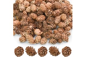Bacucine 200Pcs Natural Mini Pine Cones Christmas Decoration Small Pinecones for Thanksgiving Fall Winter Wedding Vase Filler