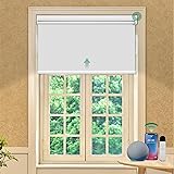 Allesin Motorized Roller Blinds with Remote Control