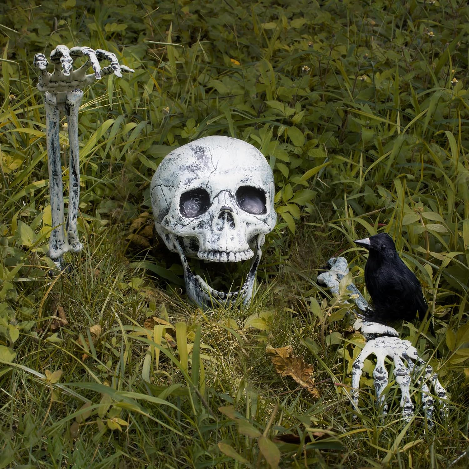 Decorative Garden Stakes - BAYSING Halloween Outdoor Decorations Skeleton Stakes, Realistic Scary Skull Head, and Hands Arms with Crow Set for Yard Lawn Graveyard Garden Stakes, Best Outdoor Halloween Decor Party Supplies