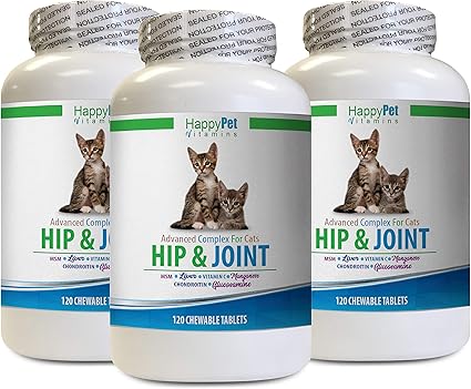 glucosamine chondroitin for cats