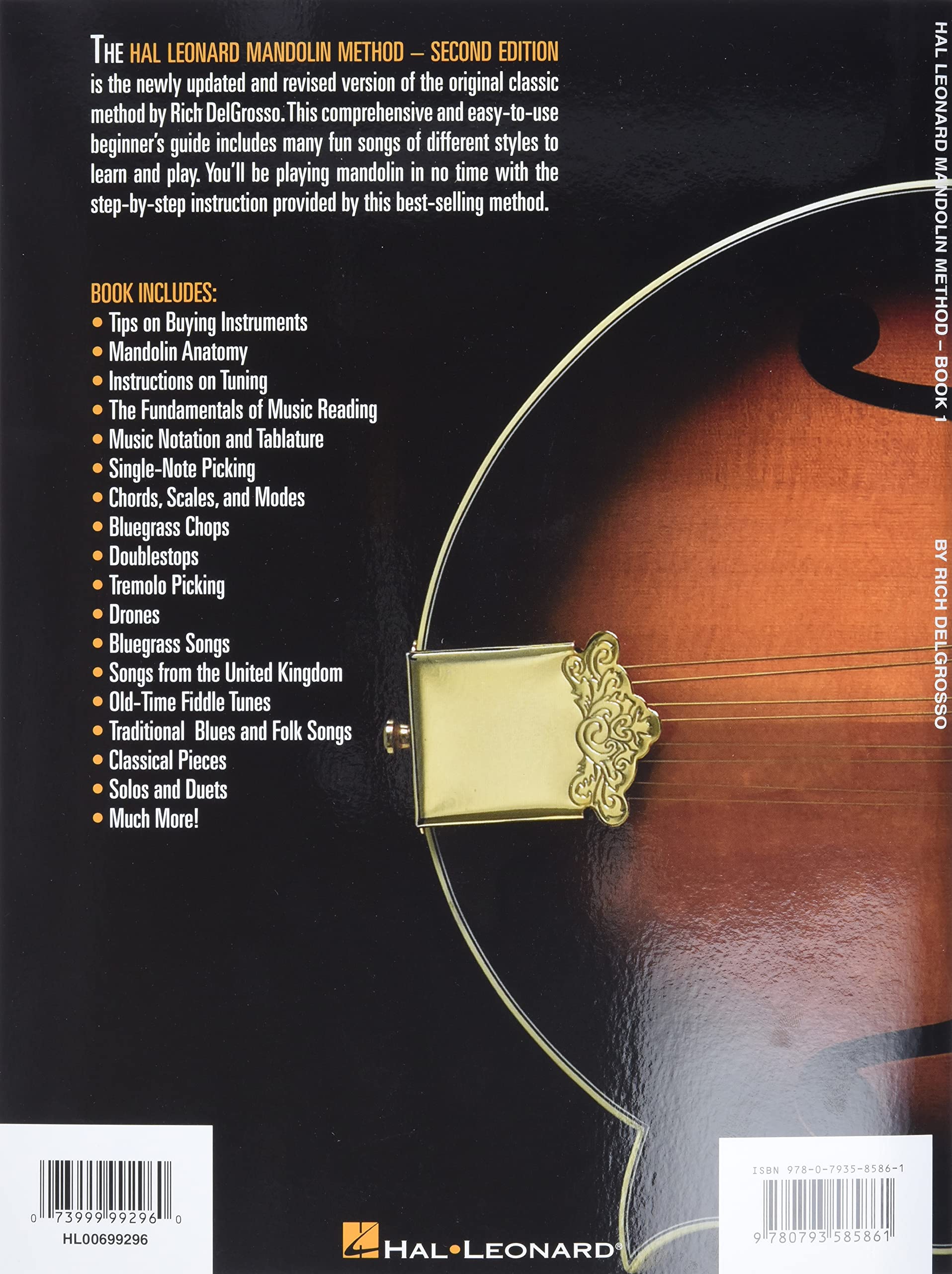 Best Mandolins For Beginners In 2023 The Ultimate Guide