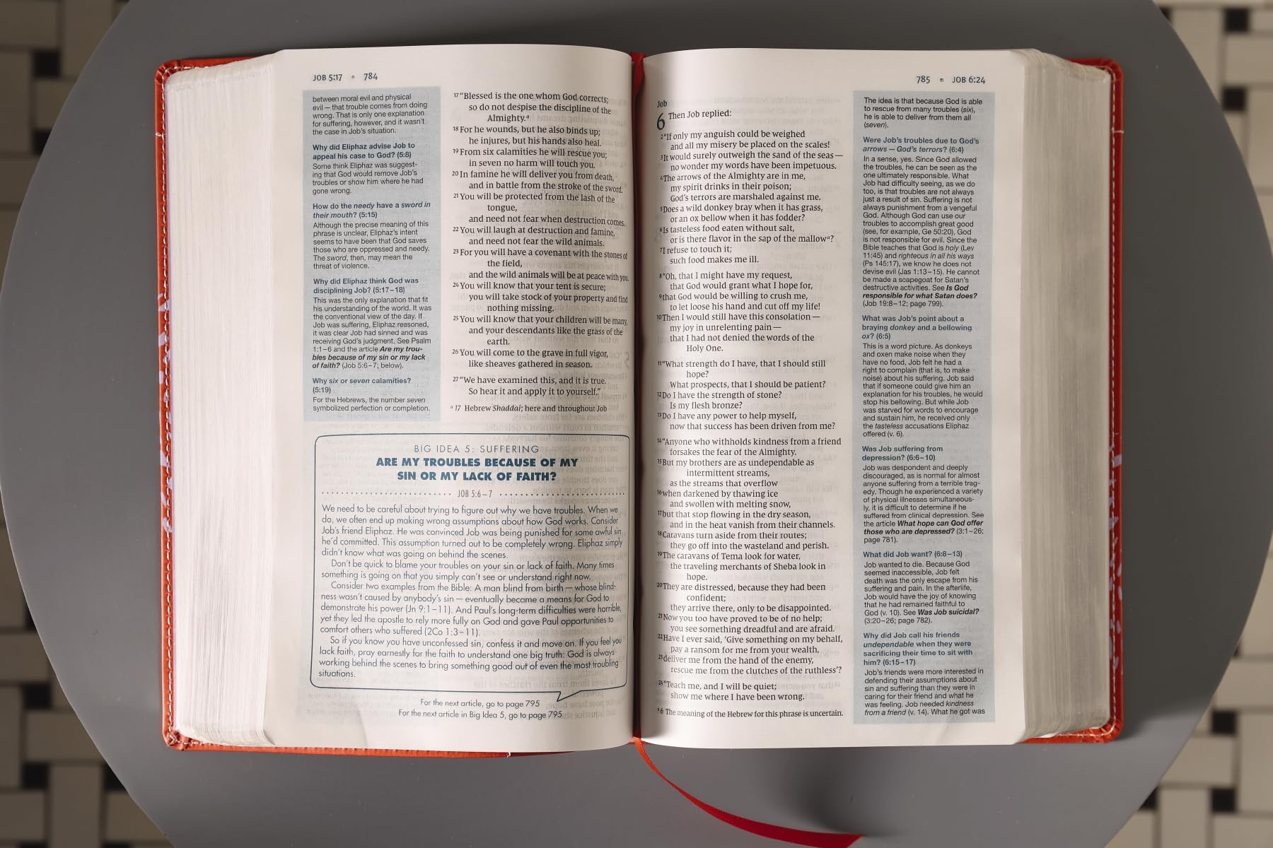 NIV, Quest Study Bible for Teens, Leathersoft, Coral, Comfort Print: The Question and Answer Bible