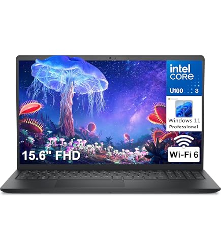 Amazon.com: DELL 13th Generation Business Inspiron 15 3530 Laptop