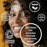 Its Pure Organic Indigo Black Hair Dye 100g by Its Pure view 3