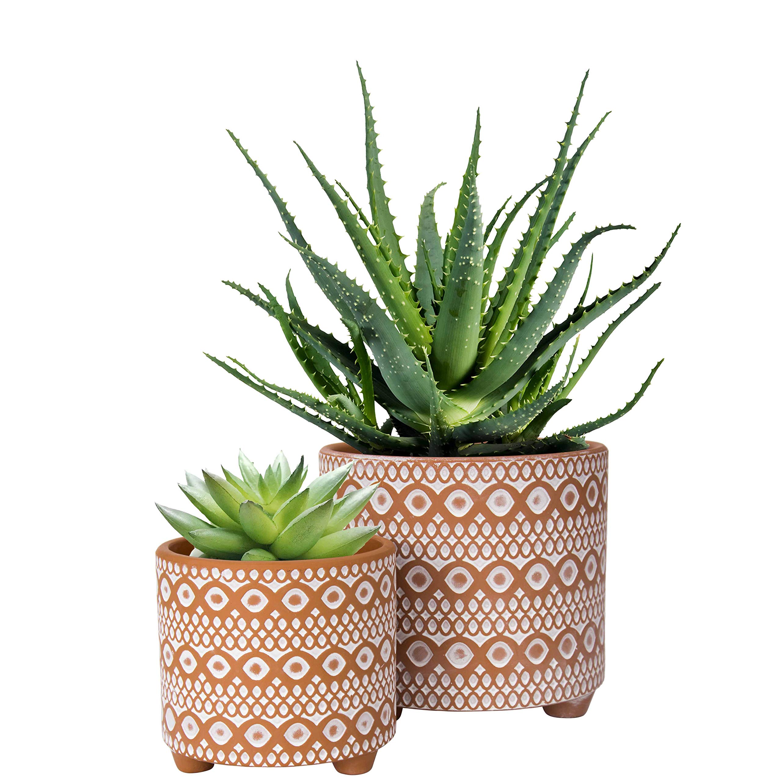 D'vine Dev Set of 2 Terracotta Planter Pots, 4 Inch & 6 Inch, Modern Design Plants Pot with Drainage Hole, Terracotta/White, 31-953-B-1
