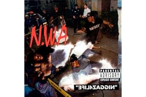 Niggaz4life (X) (Vinyl)
