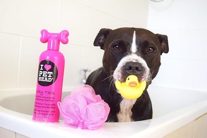 pet head dry clean spray shampoo