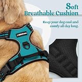 rabbitgoo Large Dog Harness No Pull Reflective Teal XL with Front Back Clips view 3