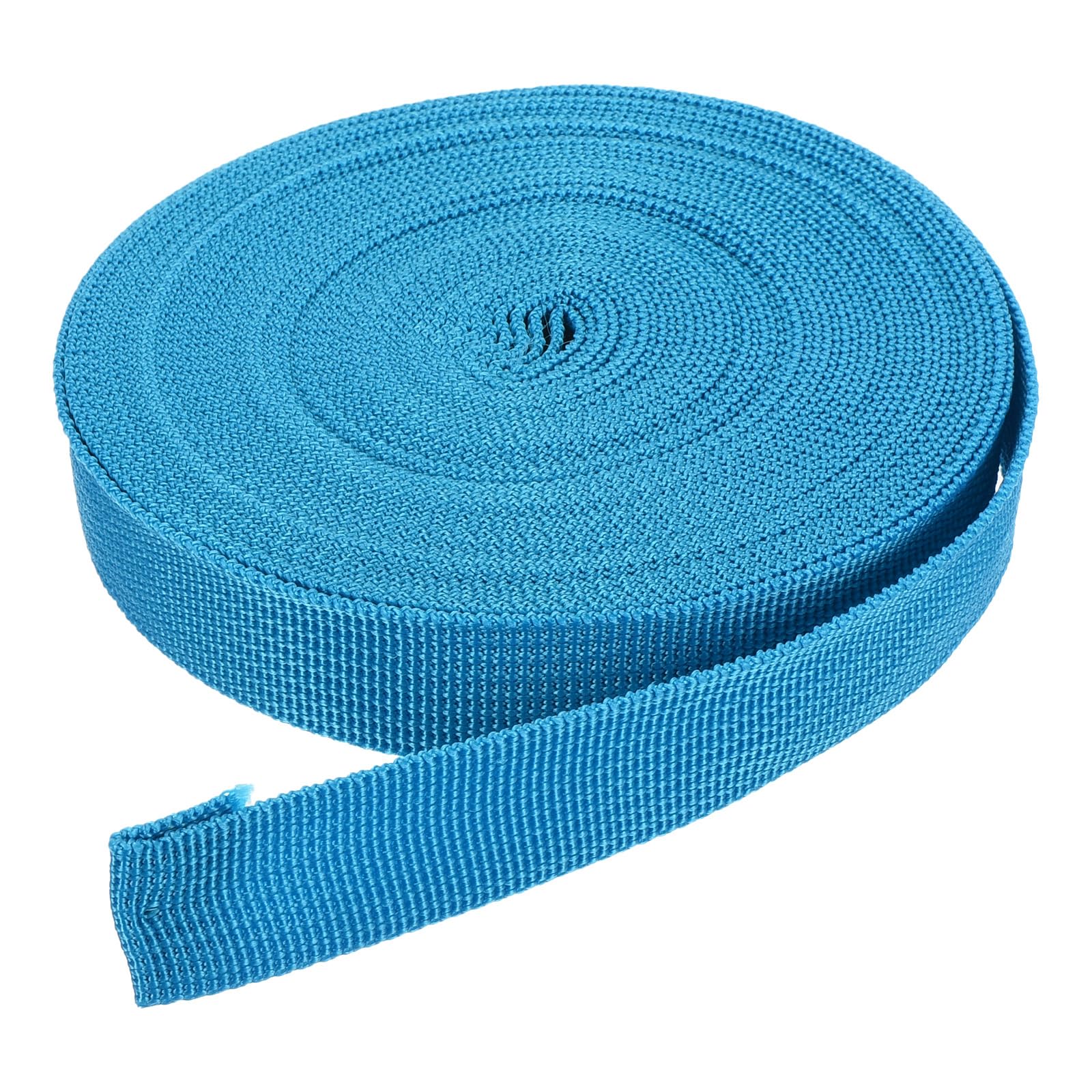 DMiotech 10 Yard x 3/4 inch Width Nylon Webbing Strap Poly Flat Webbing Strapping for DIY Craft Backpack Strapping, Sewing, Outdoor Gear Repair, Lake Blue