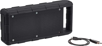 amazonbasics portable speaker