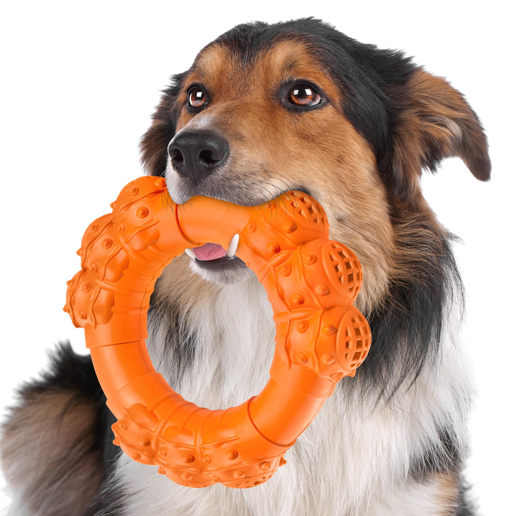 Indestructible Dog Chew Ring Toys for Aggressive Chewers, Super Chewer Dog  Toys