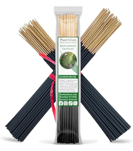 Amazon.com: Sweet Orange Incense Sticks 11