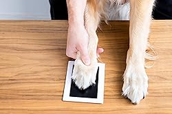 Pearhead 4-Pack Clean-Touch Ink Pad Kit, Mess-Free