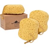 myHomeBody Bath Sponge, Foam Loofah, Shower Sponge for Body, Curvy, 3 Pack | Large Size, Lots of Lather, Bath Sponges for Shower, Body Scrubber for Bathing, Body Wash Women, Exfoliating Loofah Sponge