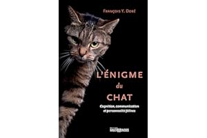 L'énigme du chat (French Edition)