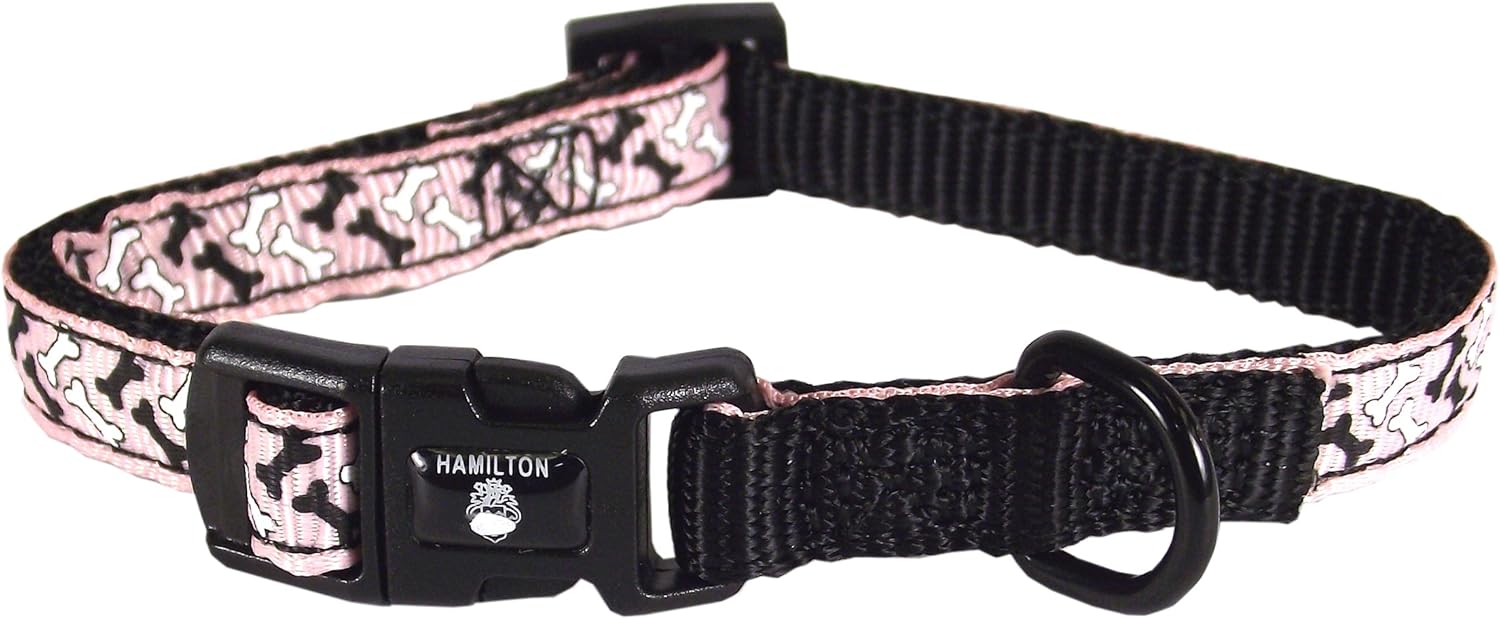 dog collar with bones