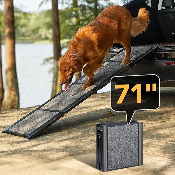 PETTHEM DOG RAMP FOR CAR 71” X-LONG & 17.2″ WIDE FOLDING DOG RAMPS FOR LARGE DOGS WITH NON-SLIP RUG SURFACE PORTABLE DOG CAR RAMP FOR SUV CAR & TRUCK, OUTDOOR DOG RAMP UP TO 250 LBS