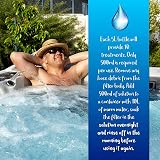 Pro-Kleen Instant Hot Tub & Spa Filter Cleaner Spray 2 x 1L view 5