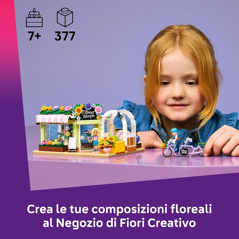 Friends Negozio di fiori creativo 42693