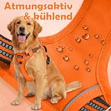 Funfox Dog Harness Medium No Pull Front Clip Reflective Adjustable Vest Orange M view 6