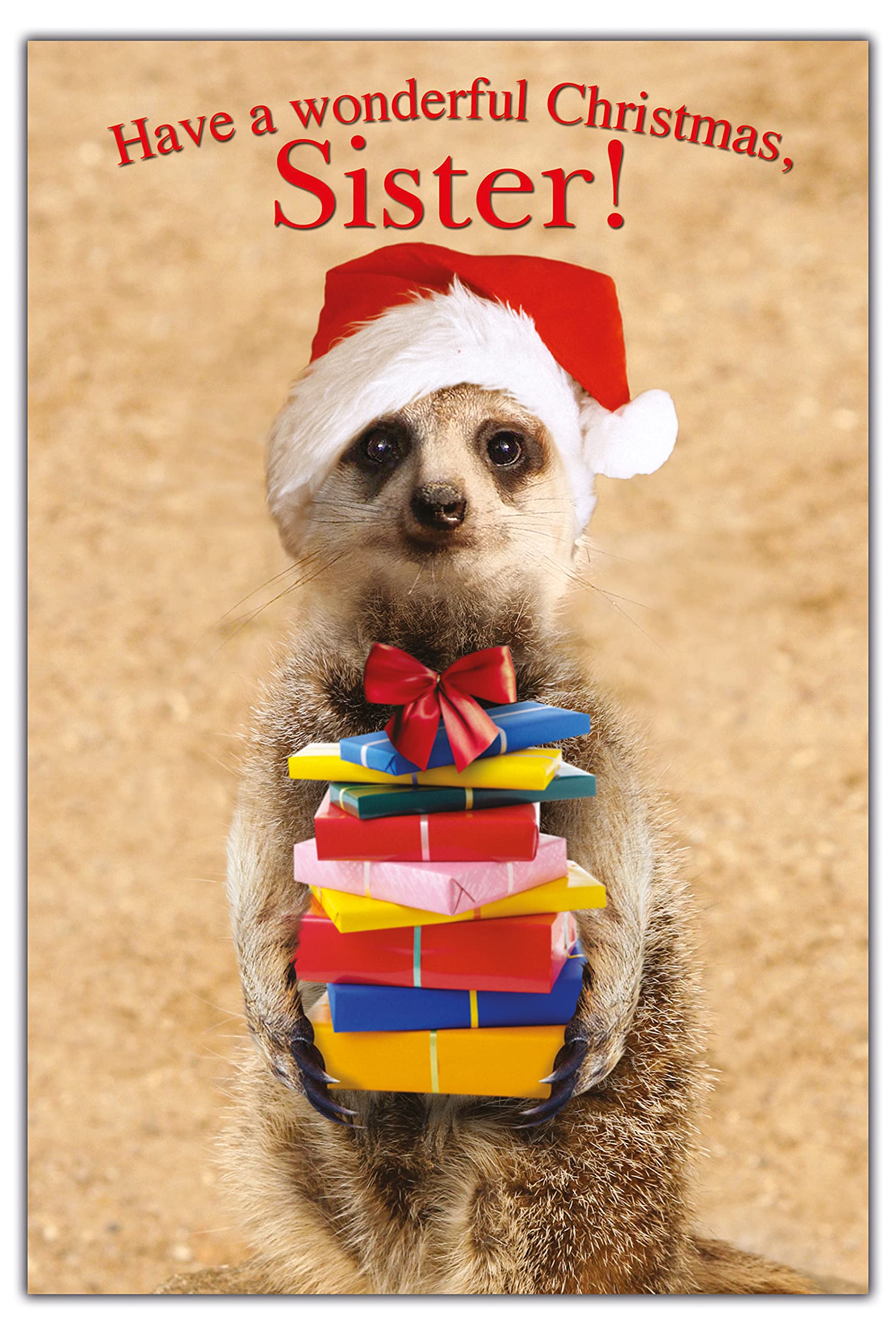 Emotional Rescue Sister Christmas Card, Cute Sister Christmas Cards, Christmas Card Sister, Sister Christmas Card for Her, Sister Christmas Cards,Multi,159x235mm