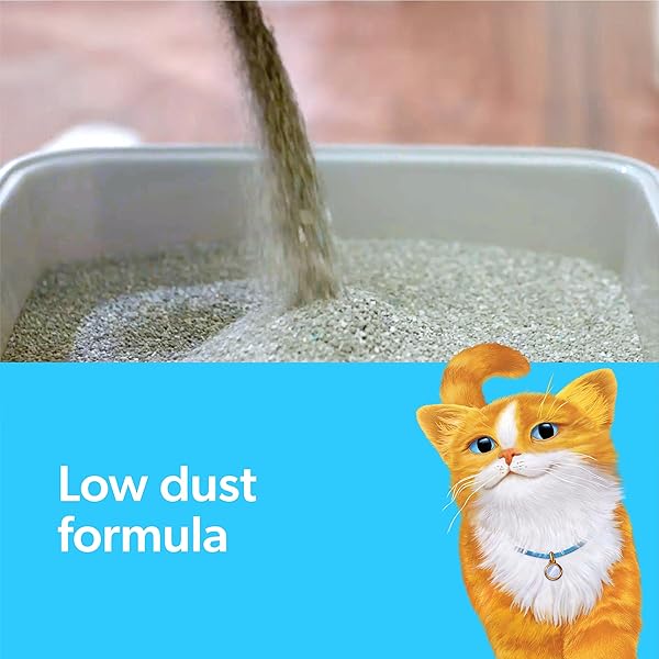 FRESH STEP ADVANCED SIMPLY UNSCENTED CLUMPING LITTER, FRESH STEP UNSCENTED CAT LITTER FIGHTS ODOR ON CONTACT, 18.5 LB. BOX