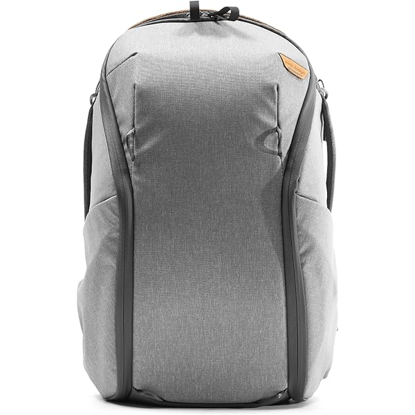 Amazon.com: Peak Design Everyday Backpack Zip 20L, Ash, 270-Degree