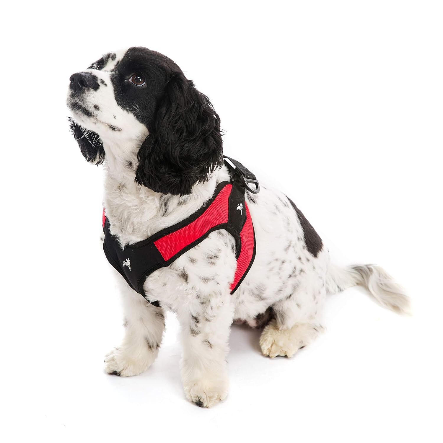 gooby easy fit harness small