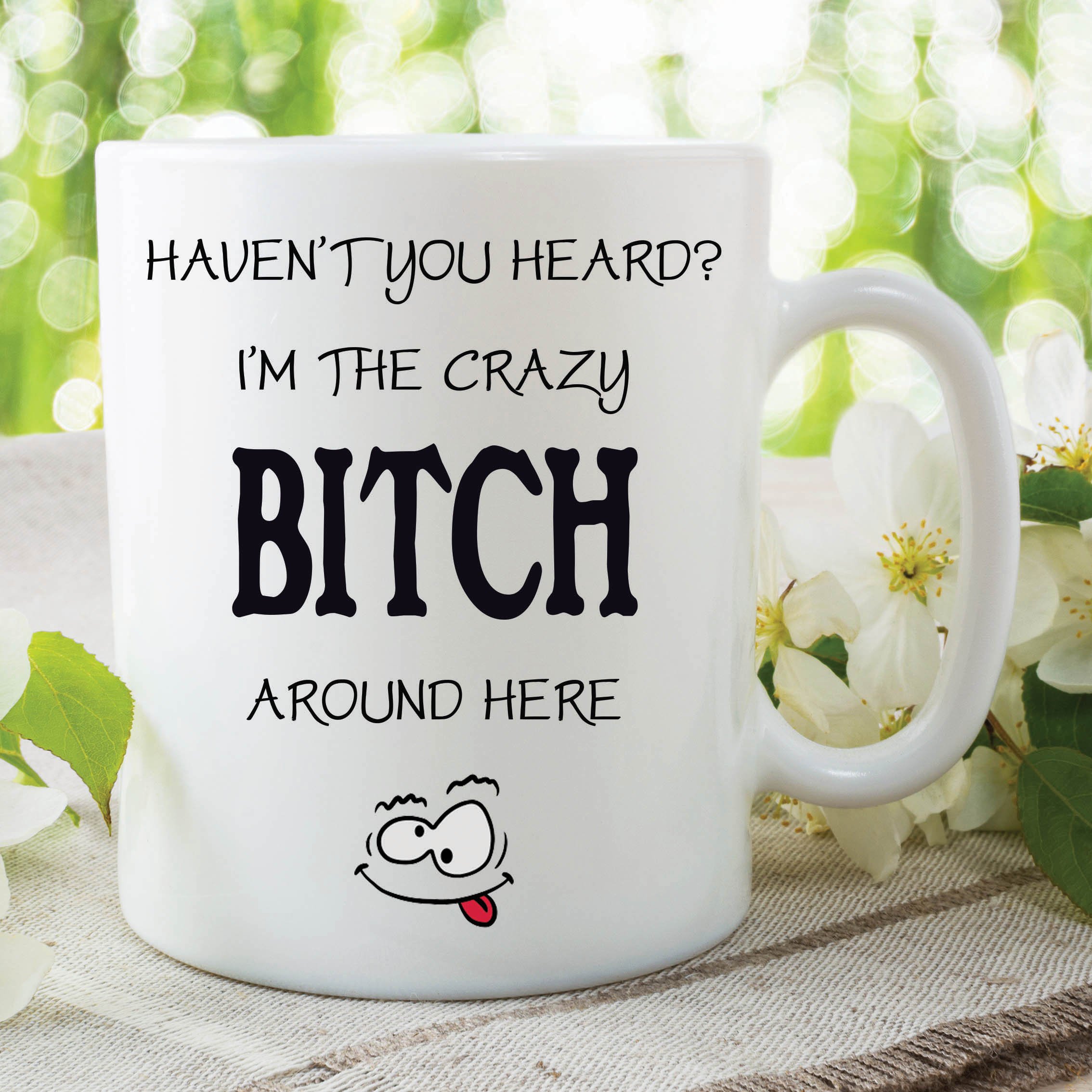 Funny Novelty Mugs Crazy Bitch Joke Office Work Cup Birthday Gift WSDMUG181
