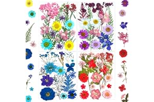 MIKIYA 73Pcs Pressed Dried Flowers for Resin, Real Natural Bulk Assorted Dry Floral Leaves for DIY Art Crafts, Epoxy Molds, Jewelry, Soap, Candle Making, Nails Decors