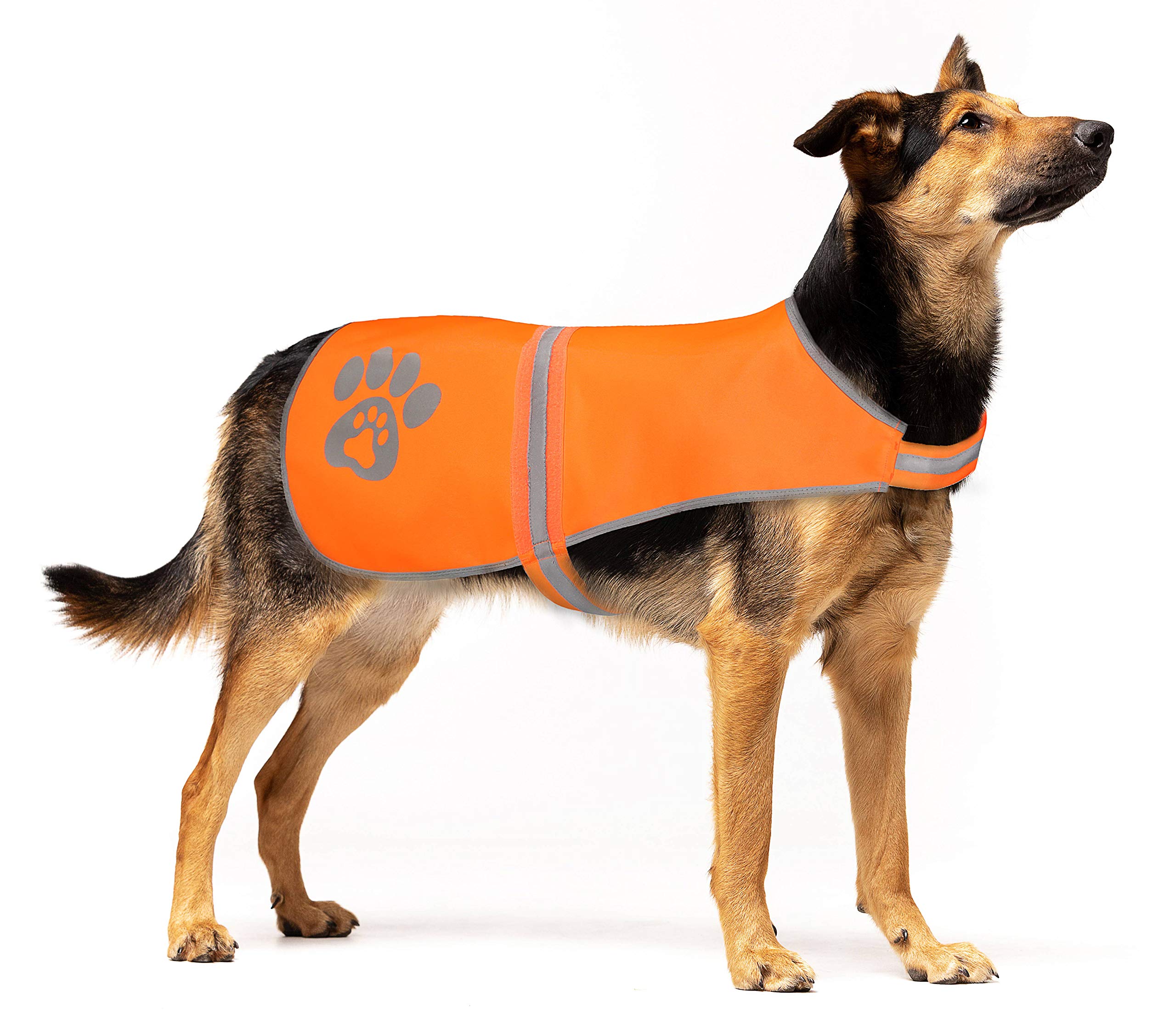 SPOFLY Dog Safety Vest, Blaze Orange Hunting Vest, Safety Reflective Dog Jacket, High Visibility and Safety from Hunters, Cars and Others(Large, Orange)