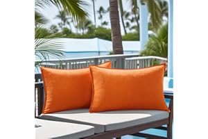 NASIGORENG Pack of 2 Waterproof Pillow Covers Decorative Outdoor Pillows Sofa Cushion Covers Garden Spring Pillowcase Couch Cushion Cases for Patio Balcony Tent Sunbrella Beach Deck 12x20 Inch Orange