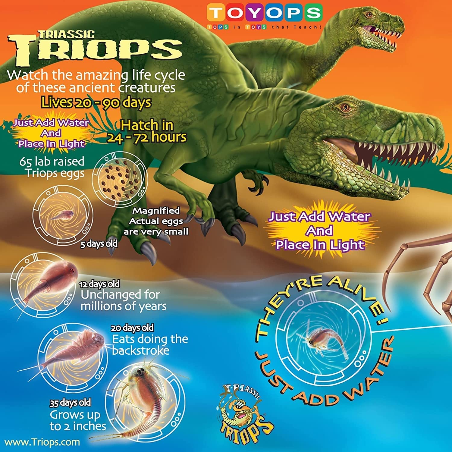 Triops Kit, Contains Eggs, Aquarium, Food, Instructions and Helpful Hints to Hatch and Grow Your Own Prehistoric Creatures, Fun Educational Toy for Kids