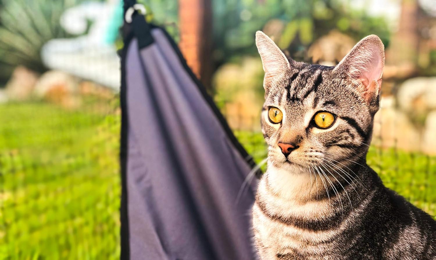 La Luna Pet Care Cat Enclosure 2025