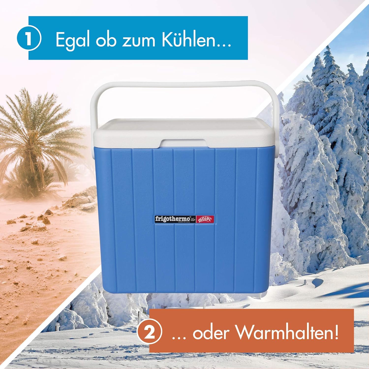 frigothermo Nevera Cajas con Grifo (con asa en Diferentes ...