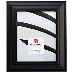 Craig Frames 21834700BK 20 by 20-Inch Picture