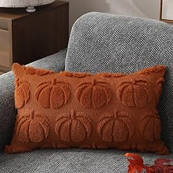 DFXSZ Fall Pillow Covers 12x20 Set of 2 Fall
