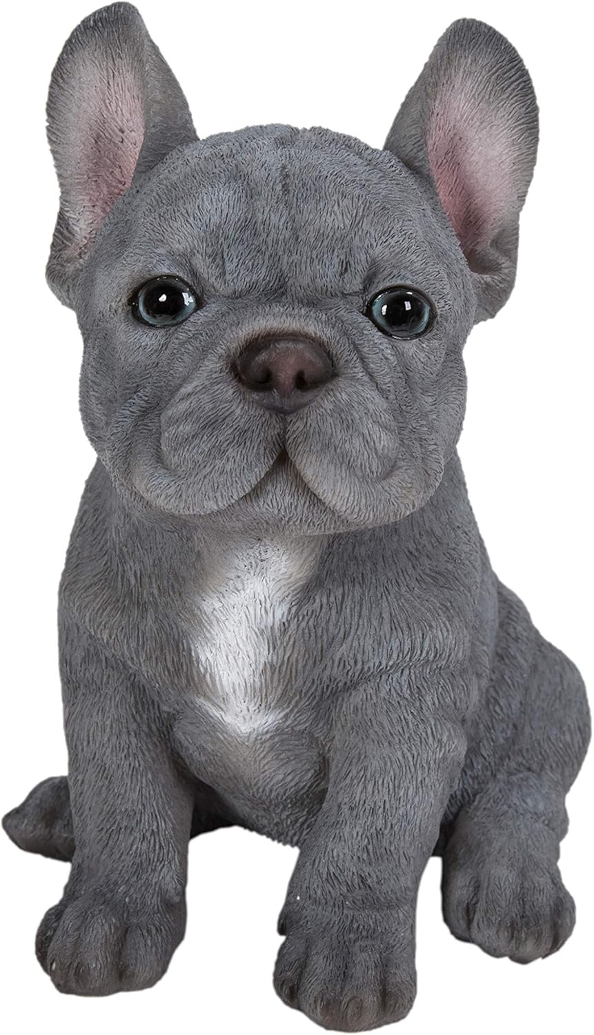 Vivid Arts - Pet Pals Blue French Bulldog Home or Garden Decoration (PP-BFRB-F), Multicolor