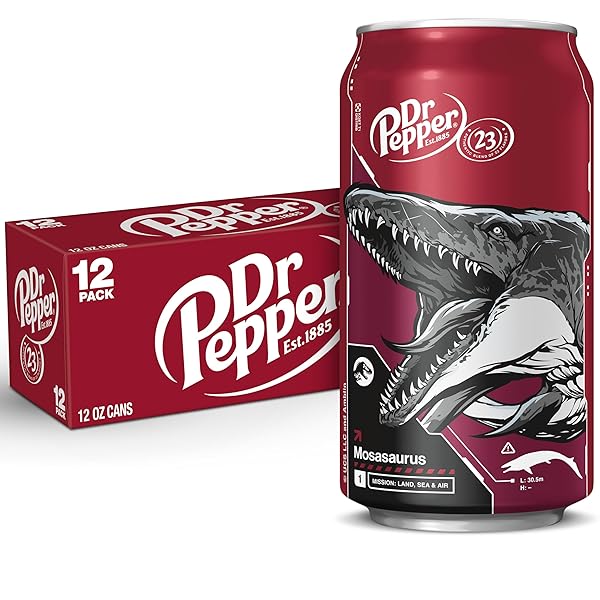 DR PEPPER SODA, 12 FL OZ CANS, 12 PACK