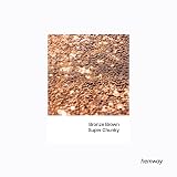 Hemway Bronze Brown Glitter Shaker 130g Multi-Purpose Resin Epoxy Glitter view 2