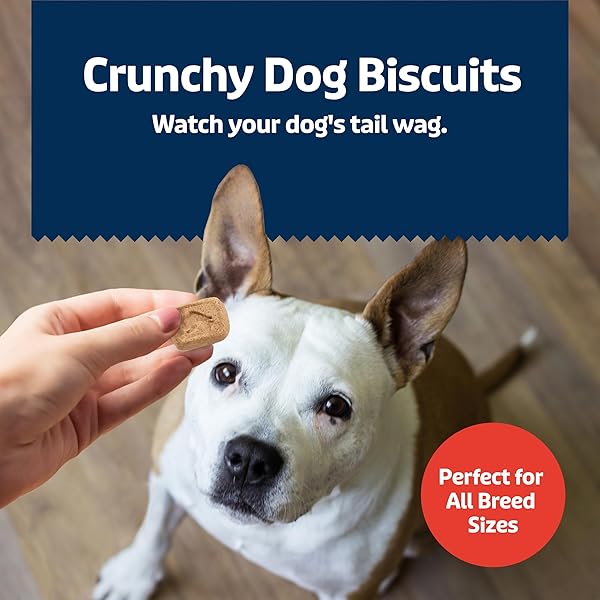 BLUE BUFFALO HEALTH BARS MINI CRUNCHY DOG BISCUITS, OVEN-BAKED WITH NATURAL INGREDIENTS, BACON, EGG & CHEESE, 16-OZ BAG