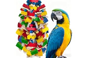 WQY GroceryShop Parrot Toys for Large Birds, Multicolored Wooden Blocks Bird Chewing Toy Parrot Cage Bite Toy for Macaws Cokatoos African Grey and Large Medium Parrot Birds (Block)