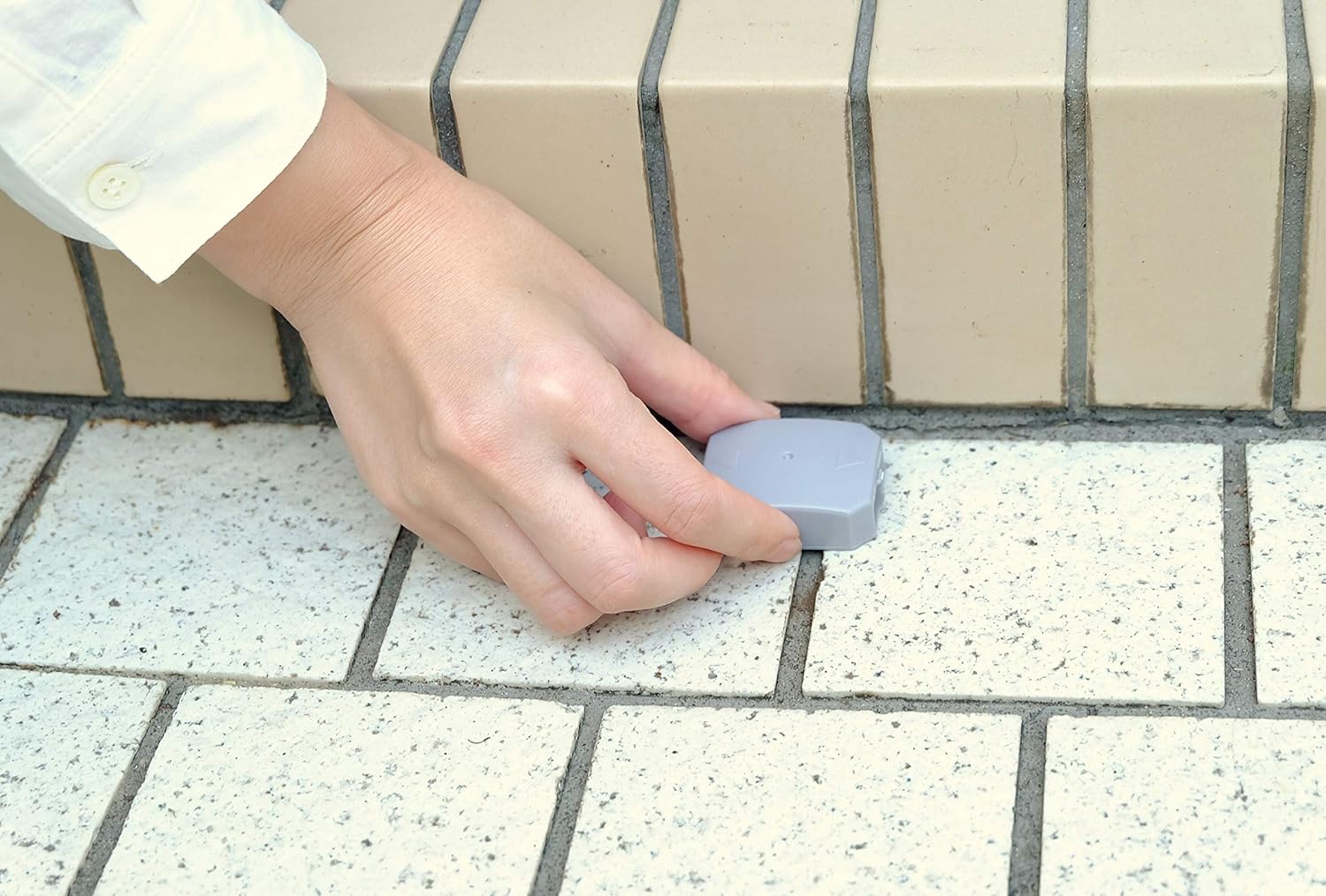 最新 ナメクジ コンクリート ナメクジ 食べ物 コンクリート 最新 ナメクジ コンクリート ナメクジ 食べ物 コンクリート