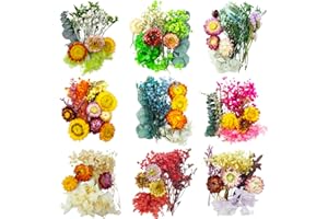 TooGet Mini Dried Flowers 9 Bags Natural Real Small Dry Flower Leaves for Crafts Colorful Mixed Color Dry Wildflowers Plants 