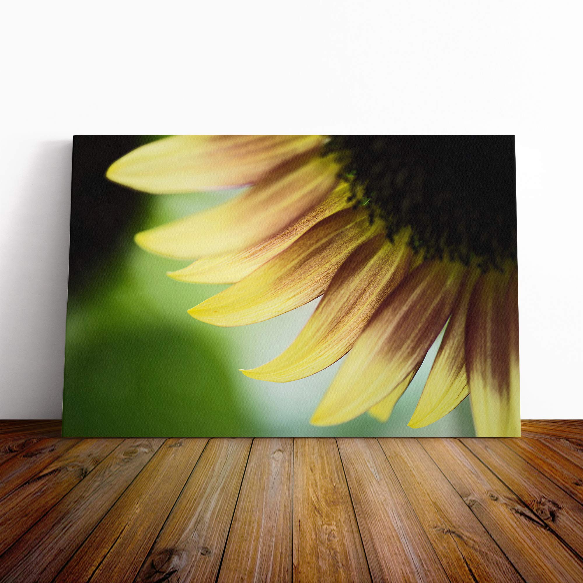 Flower Yellow Sunflower (1) Canvas Print | Gallery Wrapped 30mm Frame Wall Art | 20x14 inches | Ready to Hang | Modern Floral Picture | Living Room Bedroom Lounge Office