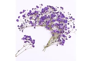 LYFORTZY 30 Branches Purple Pressed Flowers Bulk Dried Flower Kit for Resin , Dried Babys Breath Flower Natural with Tweezer for Crafts Christmas DIY Gift Scrapbooking Photo Props.