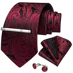 DiBanGu Silk Paisley Ties for Men Woven Necktie and