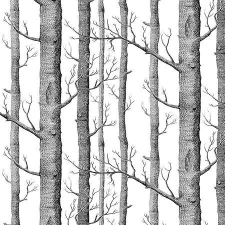 Akea Modern Birch Tree Wallpaper Roll Black And White Forest