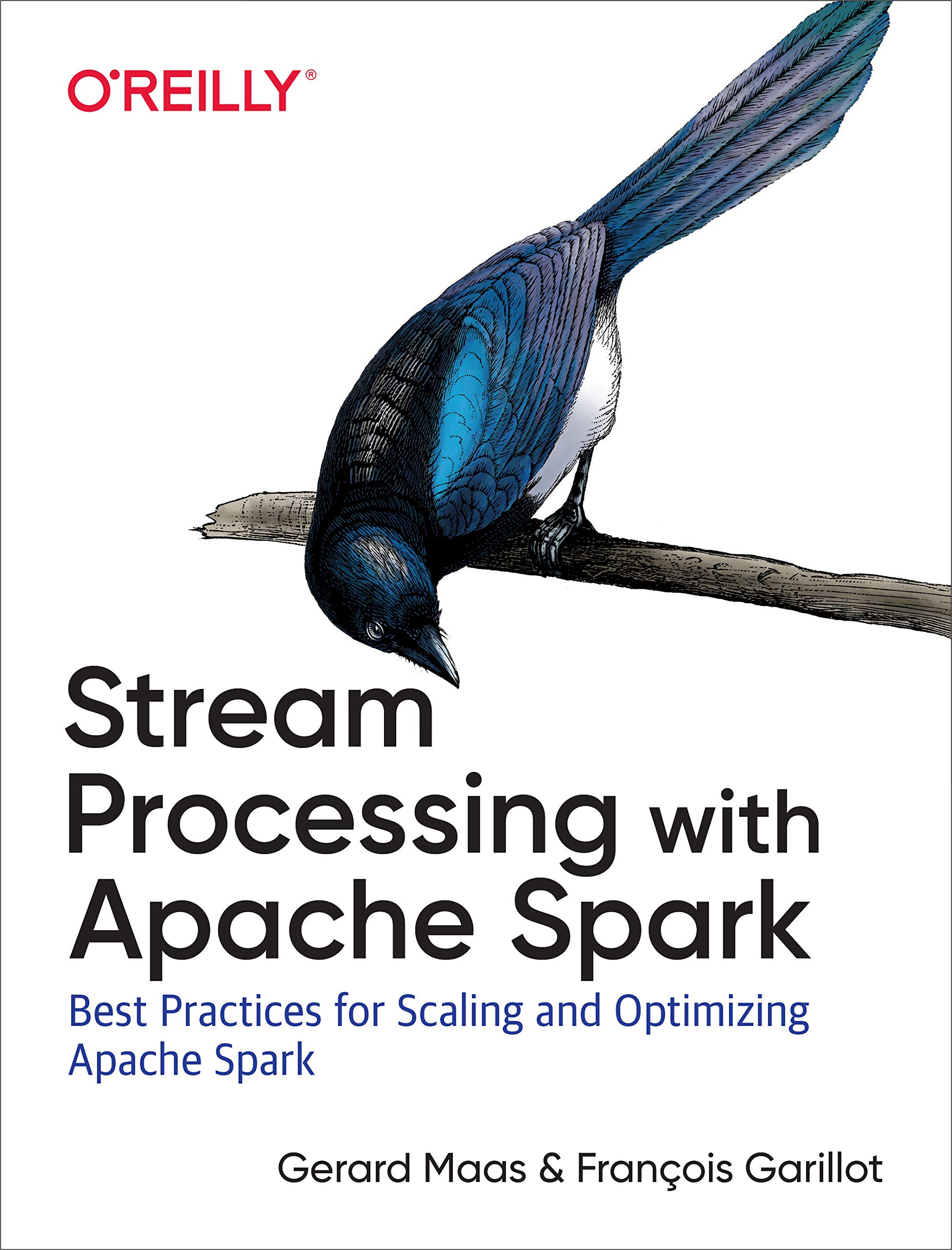 Stream Processing with Apache Spark: Mastering Structured Streaming and Spark Streaming Stream Processing with Apache Spark: Mastering Structured Streaming and Spark Streaming Paperback Kindle